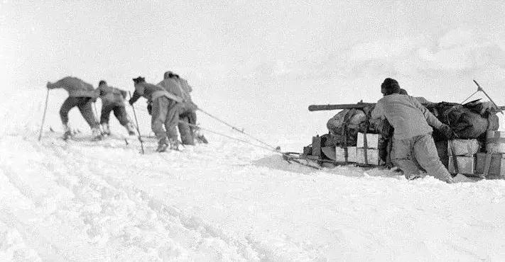 如果要找工作，你家傻狗除了卖萌还能干什么？