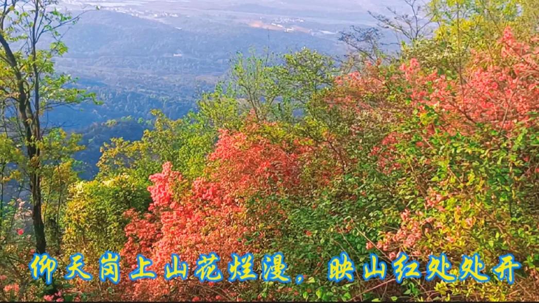 春日新余,美丽钢城新余