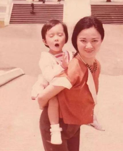 家有仙妻四位主演今日现状,家有仙妻所有演员名单