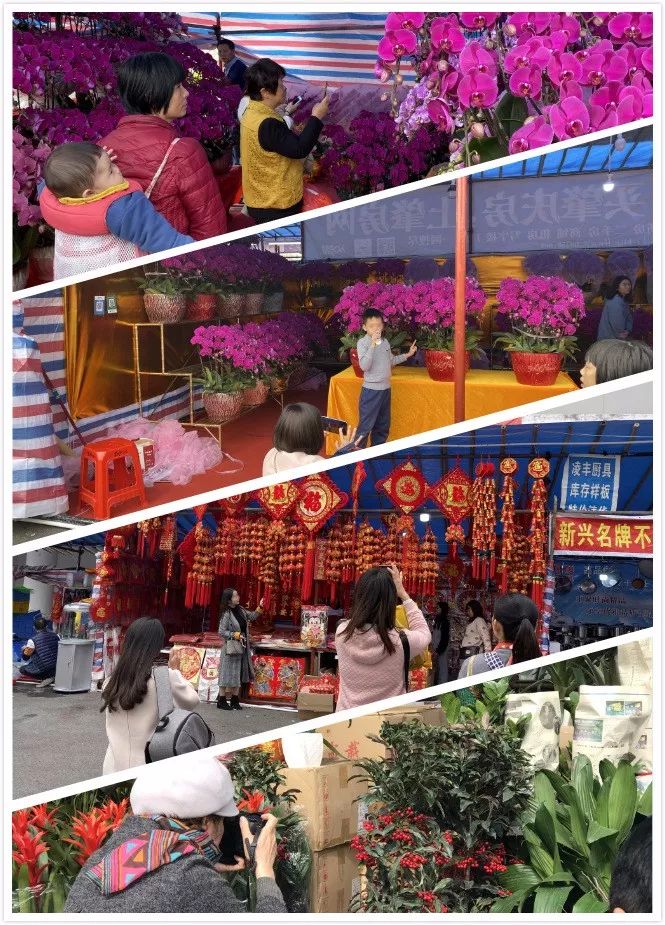 肇庆各区花市,2020肇庆市花市图片