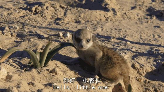 长春家长都领着孩子在干这件事儿，你没做，就落后了！