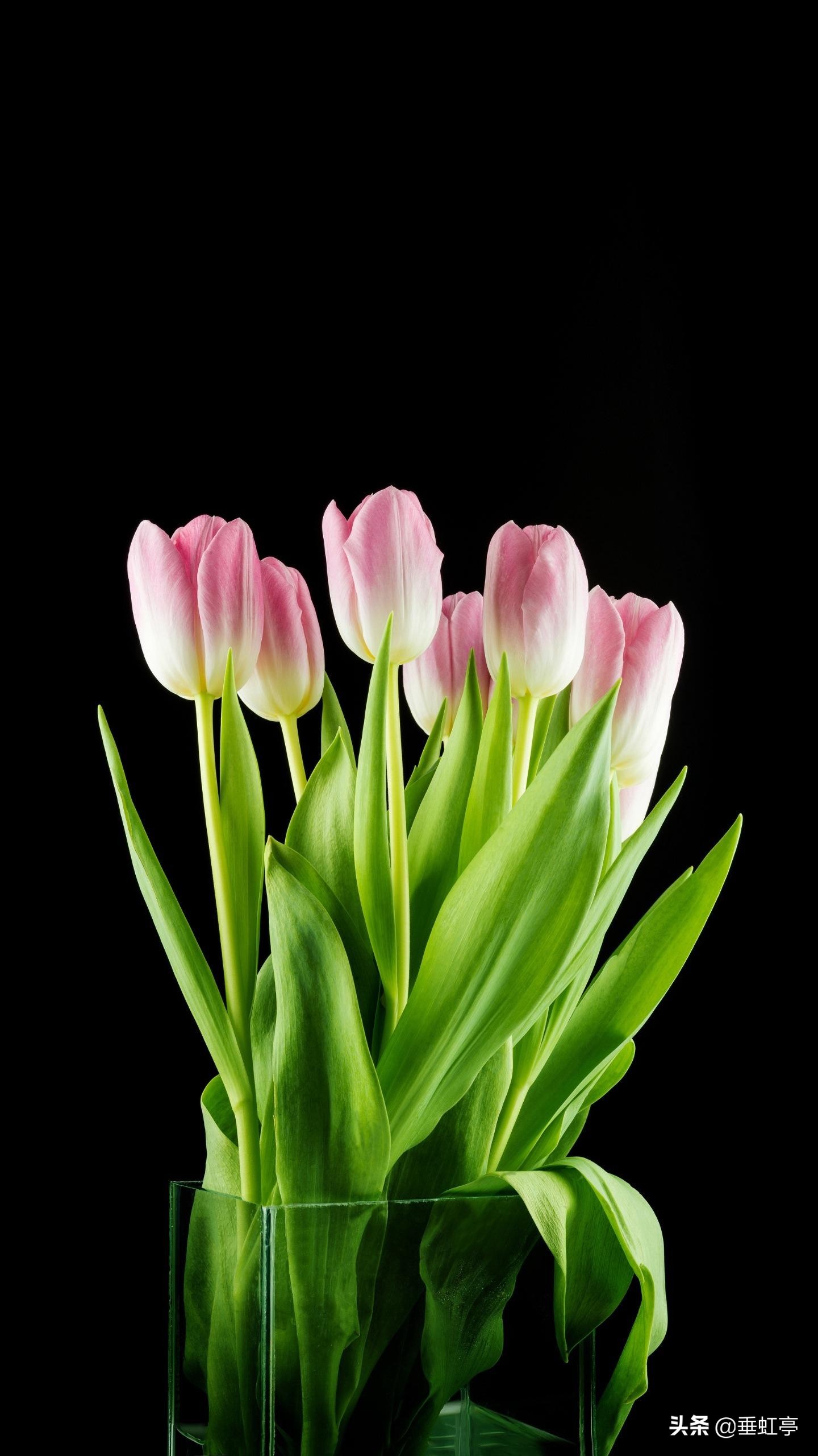 程颢冬日偶成,《春日偶成》宋程颢视频古诗解析