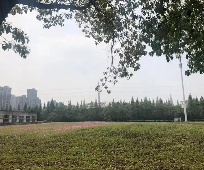 昆山有哪些工厂即将搬走,昆山城东工厂搬迁最新消息