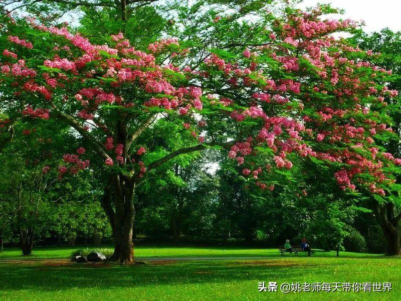 2月旅游灵感,旅游2月攻略最佳自由行