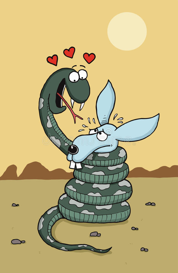 澳洲男子帮蛇过马路,被蟒蛇袭击该如何自救