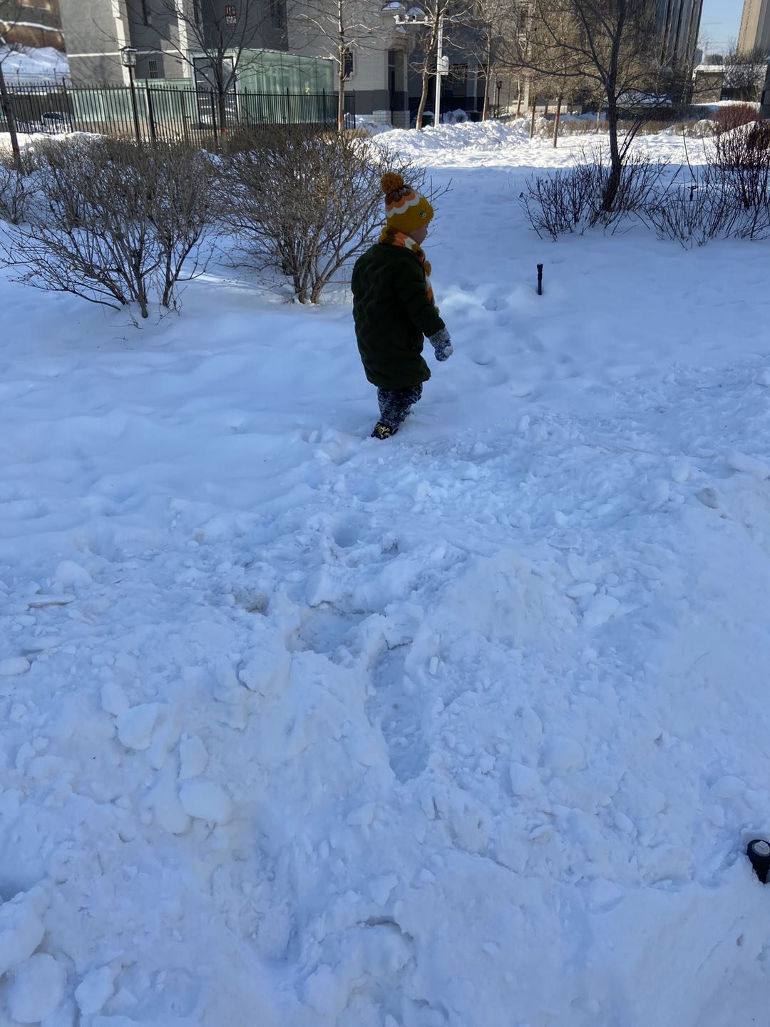 疫情期4000公里的团圆路—*疆新**