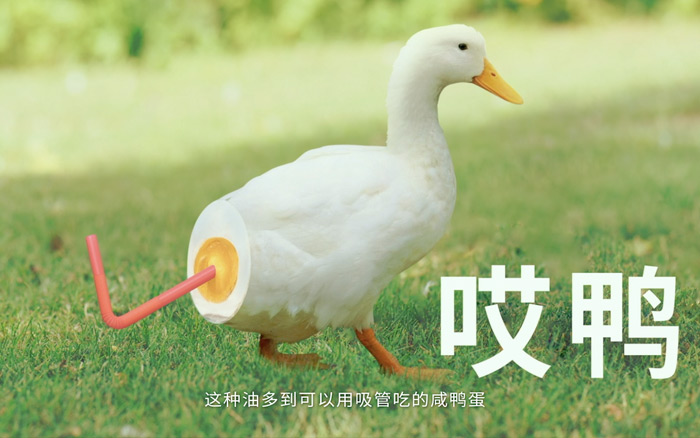 找“爱因斯坦”拍广告、一年卖4亿粽子，这个老字号怎么做到的？