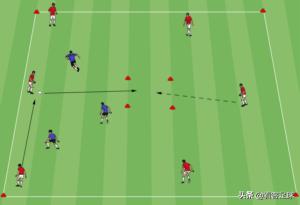 高水平运动员文化成绩要求趋势,高智商足球运动员