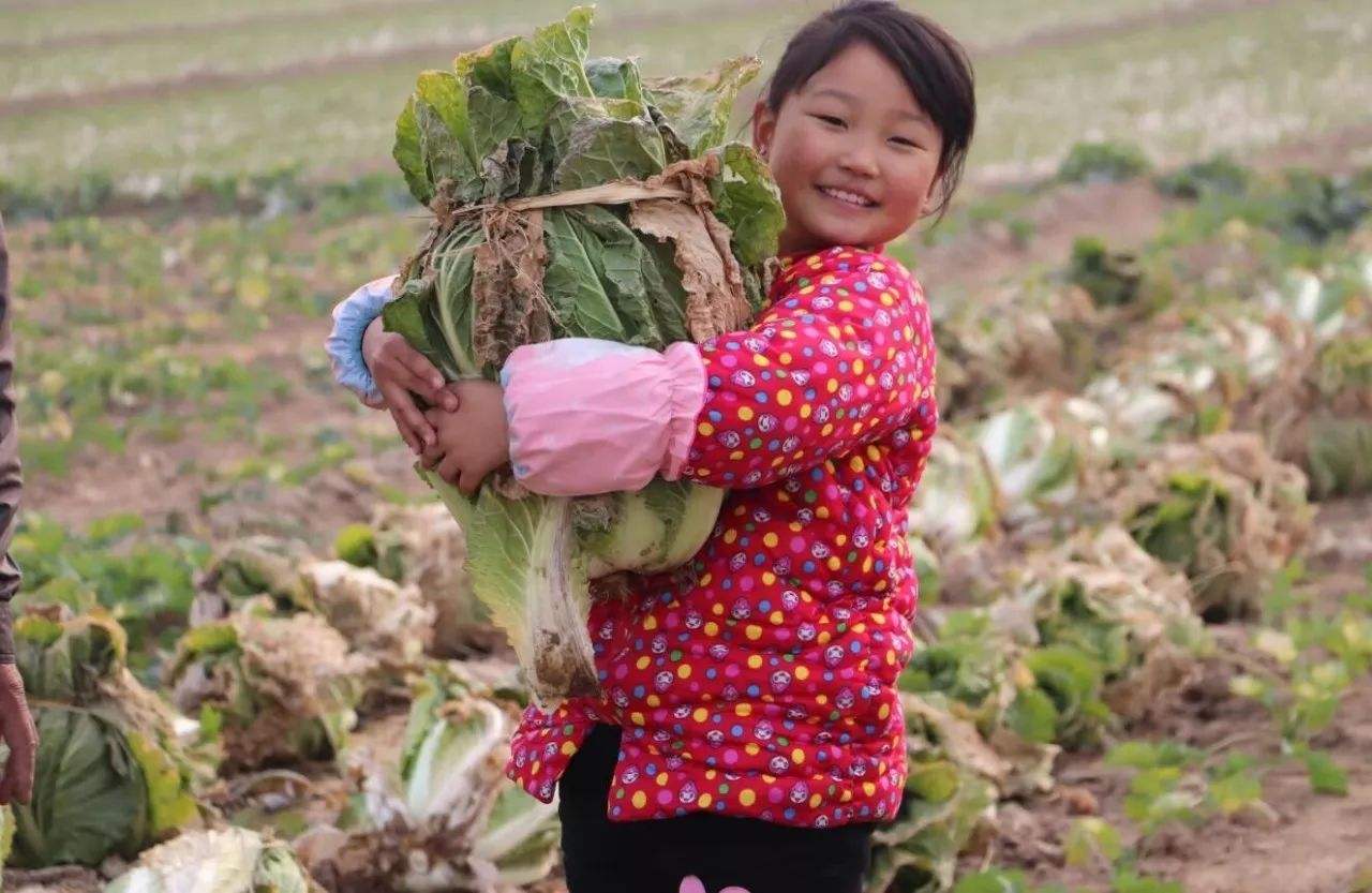 妻子怀孕，去庙里还愿却一去不回，20年后家里来两个人丈夫傻了