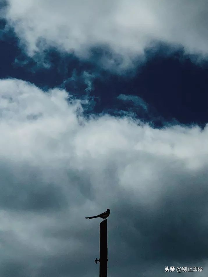 手机摄影构图大全公众号,手机摄影构图取景技巧