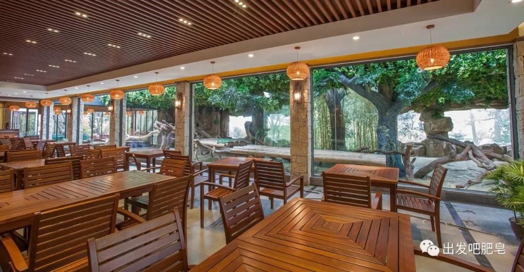 长隆飞鸟乐园长隆熊猫酒店怎么选,周一长隆野生动物园游玩攻略