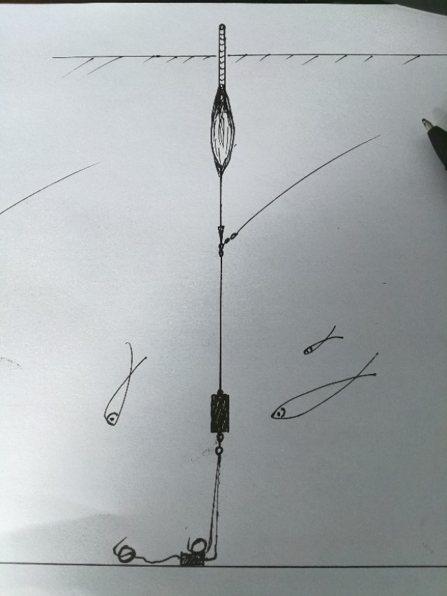 子母坠线组,子母坠如何调钓