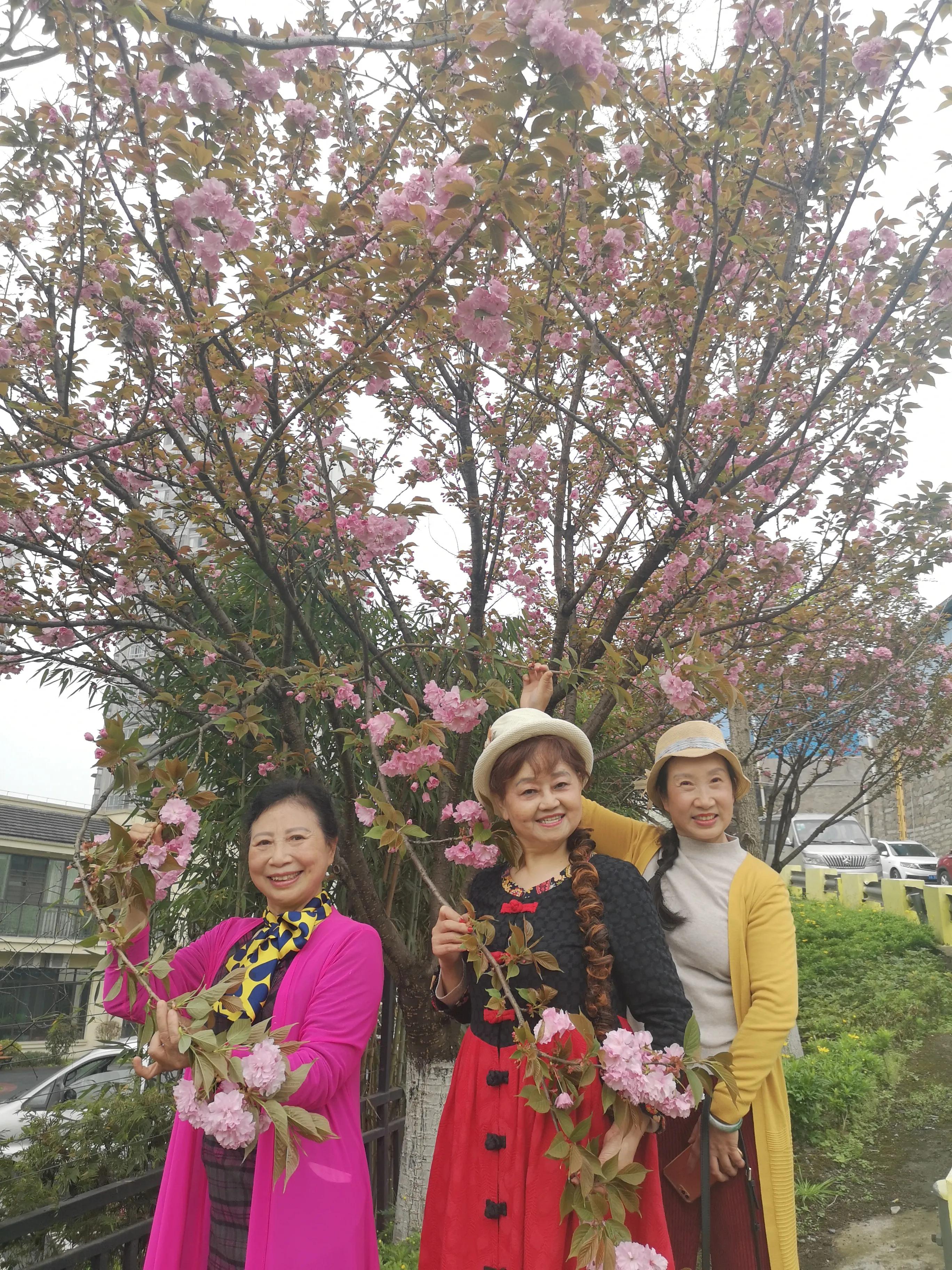 春游和姐妹踏青,春游踏青姐妹拍照