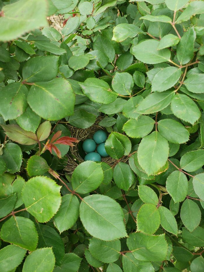 外国网友分享的风景,国外网友分享的风景