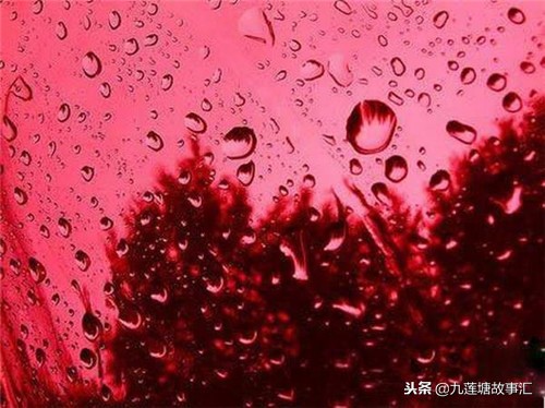 血雨抗日,血雨抗日剧