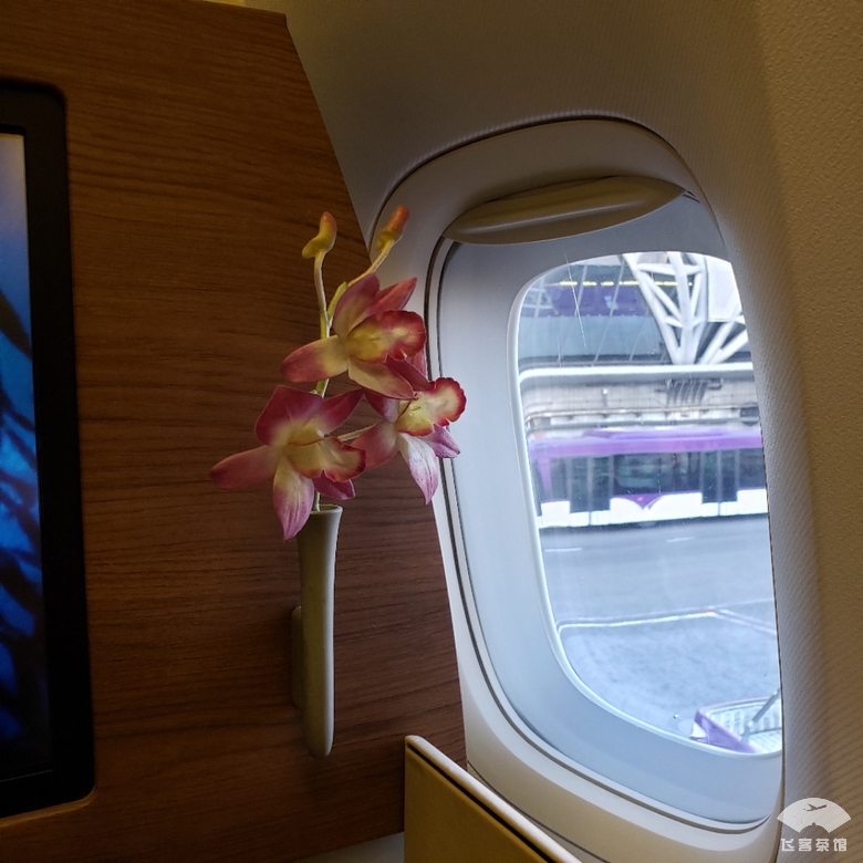 打卡泰航波音747头等舱，贴心空姐疯狂投喂，大龙虾鱼子酱吃到撑