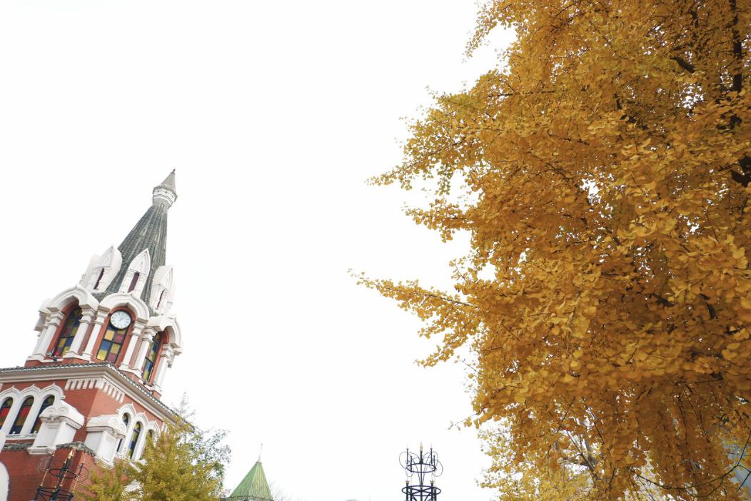 忽然想去旅游了,忽然想去宁波了