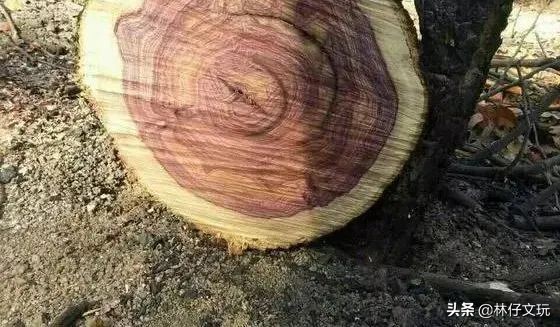 大叶黄花梨的鉴别方法,白酸枝和微凹黄檀哪个好