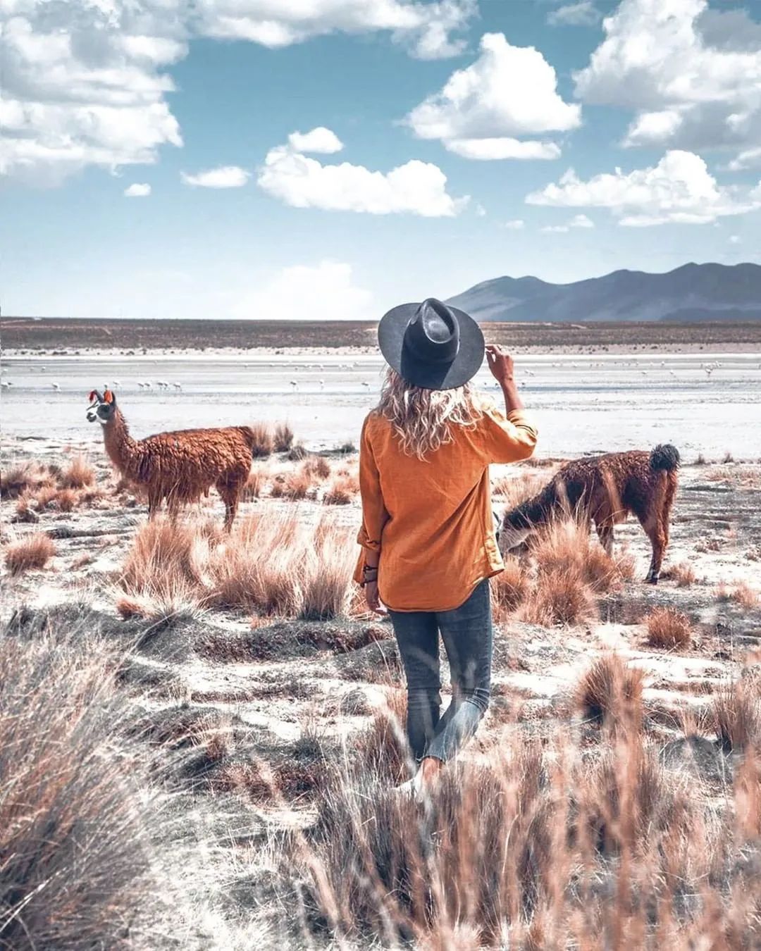 这9个没有确诊的国家，请继续美好