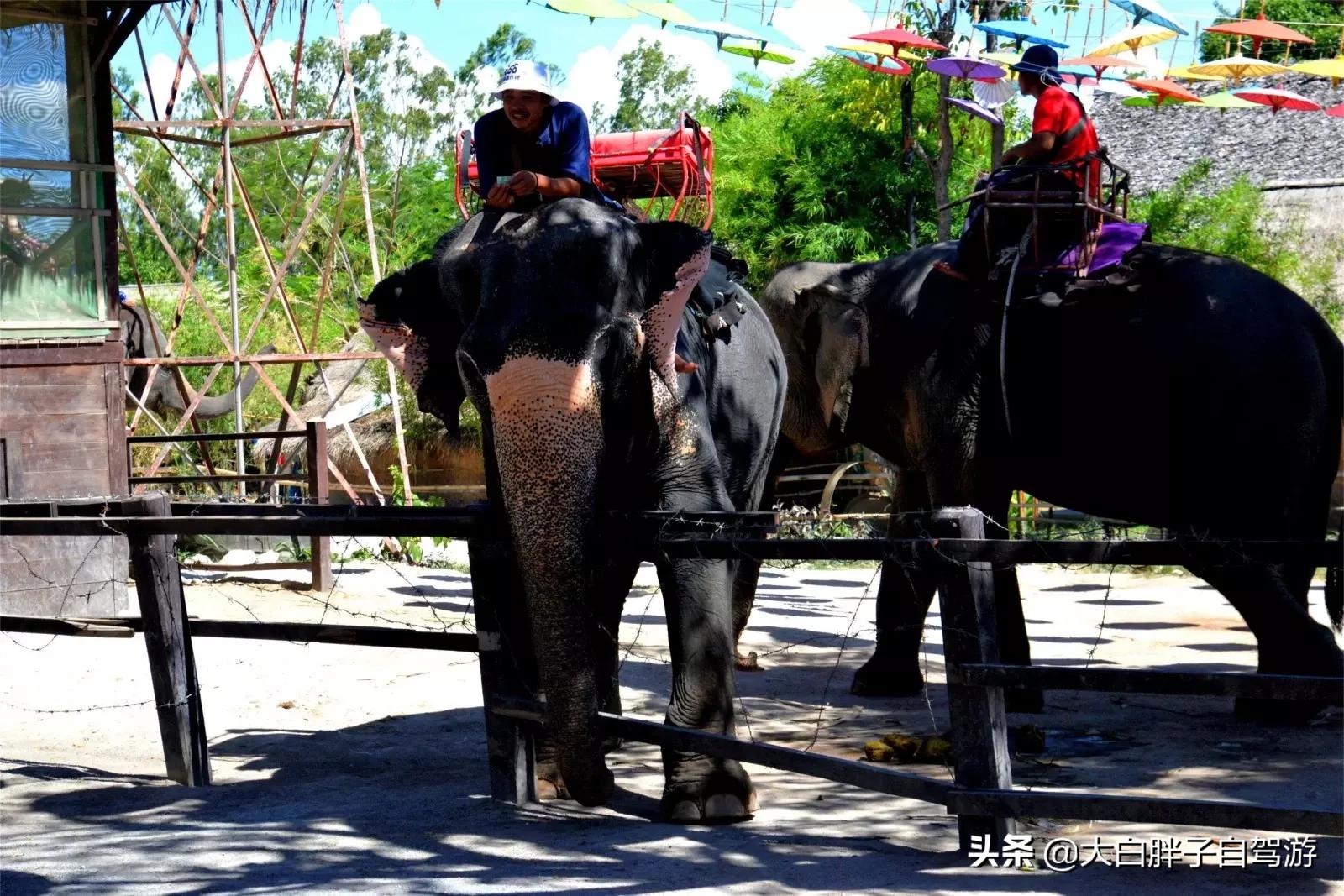 泰国风情之旅完整版,泰国风情记