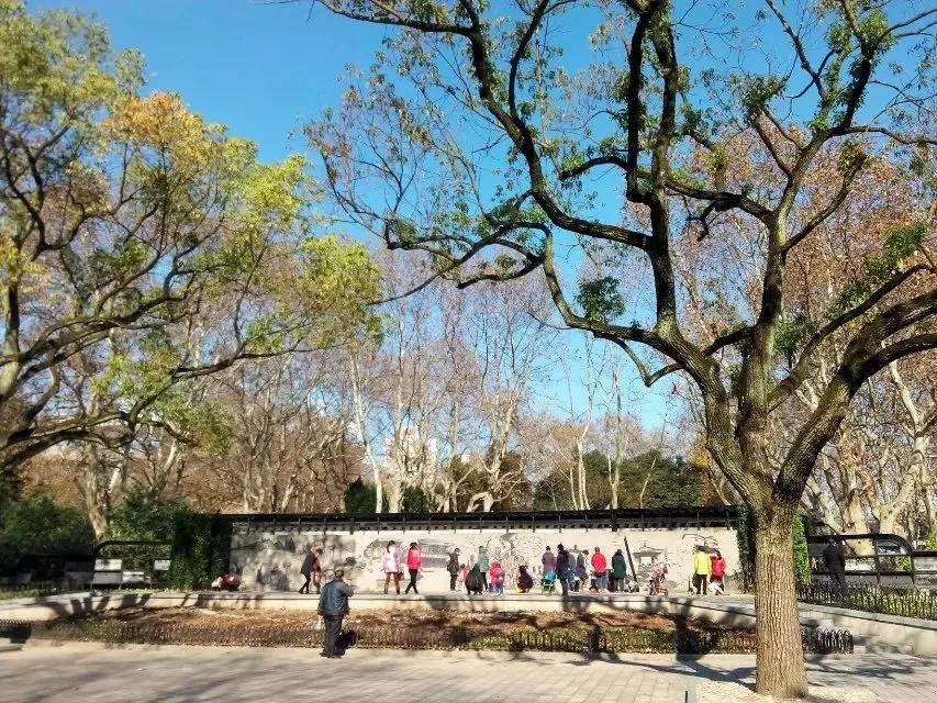 鲁讯公园的湛蓝色天空