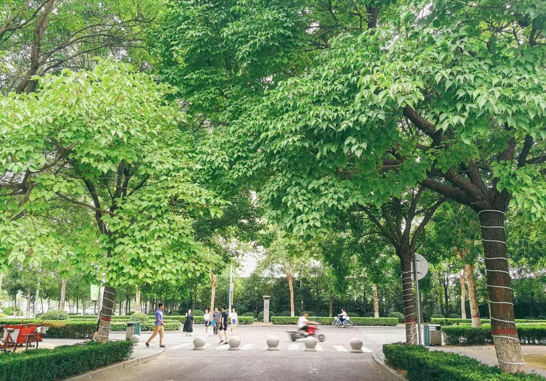 郑州向全球招才引智,郑州欢迎你2018