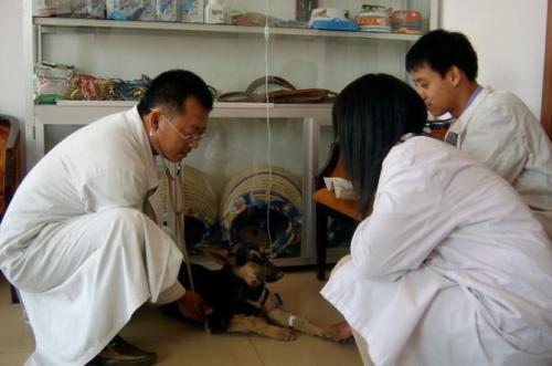 未来20年发展好的专业,未来五年学生最香的专业