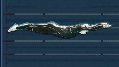 7千一件，只能用6次的高科技“鲨鱼皮”泳衣，为何被禁赛了？