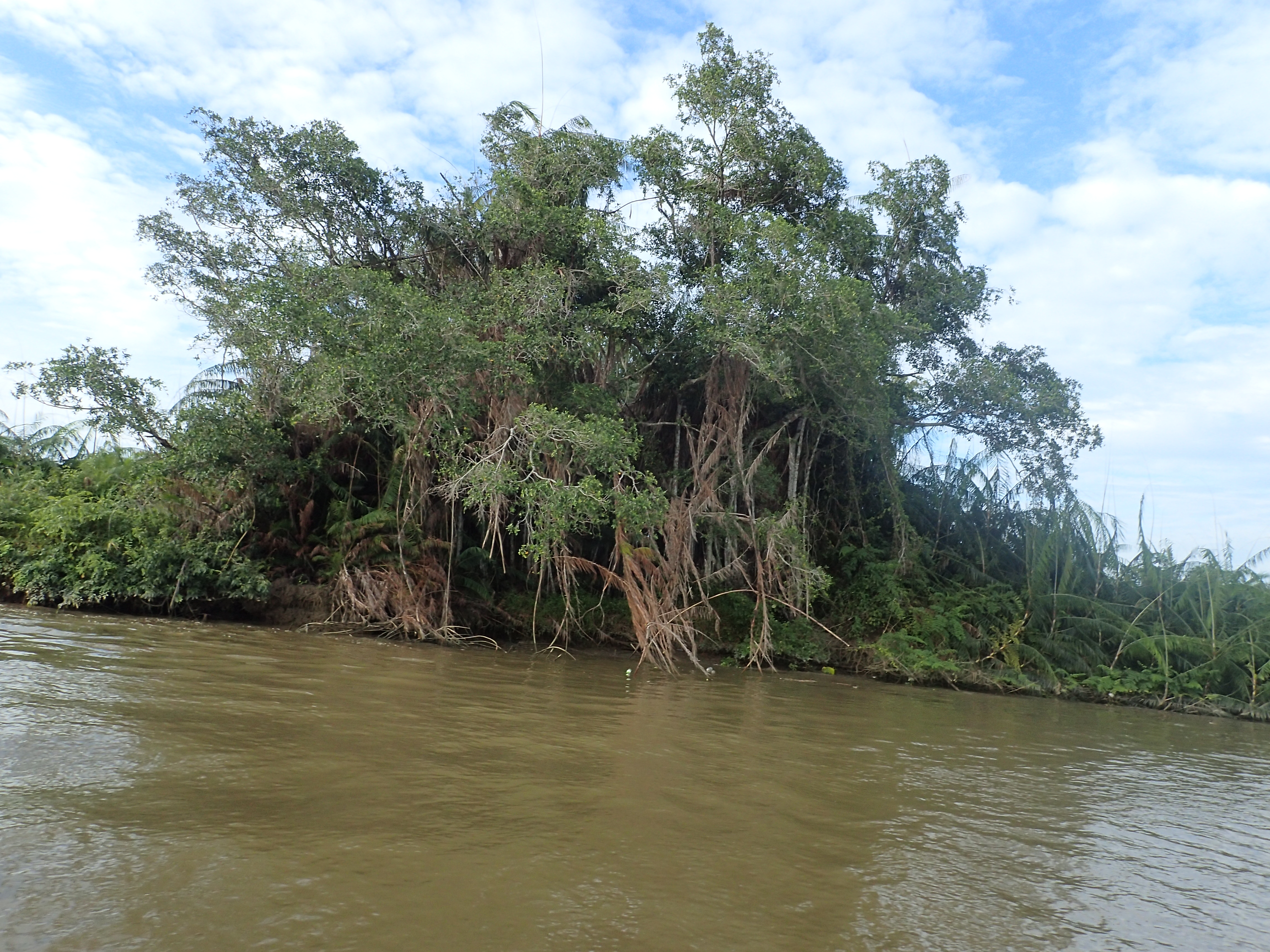 沙巴潜水推荐,马来西亚沙巴潜水哪里好