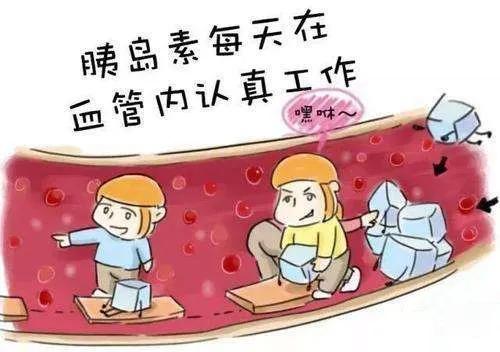 饭前头晕低血糖,饭前出现低血糖还有得治吗