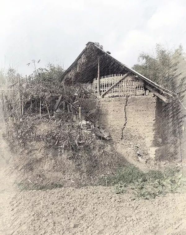 人类进化虱子,虱子与人类共存千万年