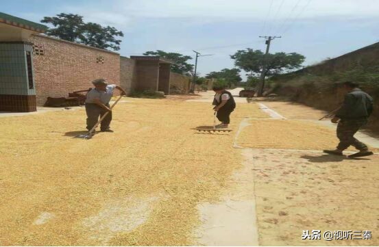 白水县教育局郭雪芳,白水县郭雪芳
