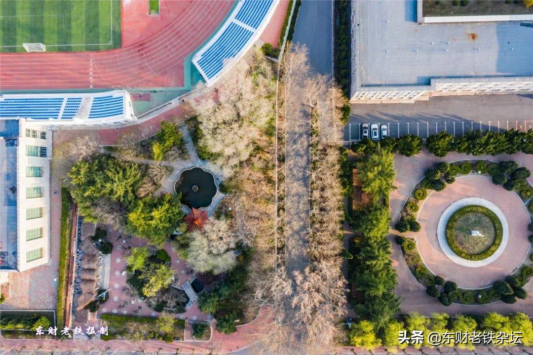 网红美景,网红一棵树樱花园