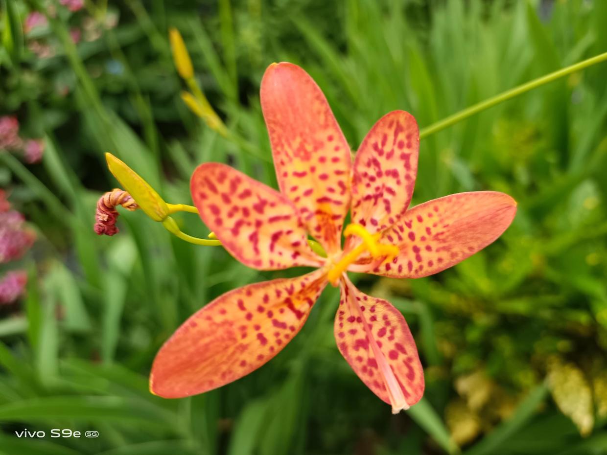 vivos9e怎么样性价比怎么样,vivos9e实际体验