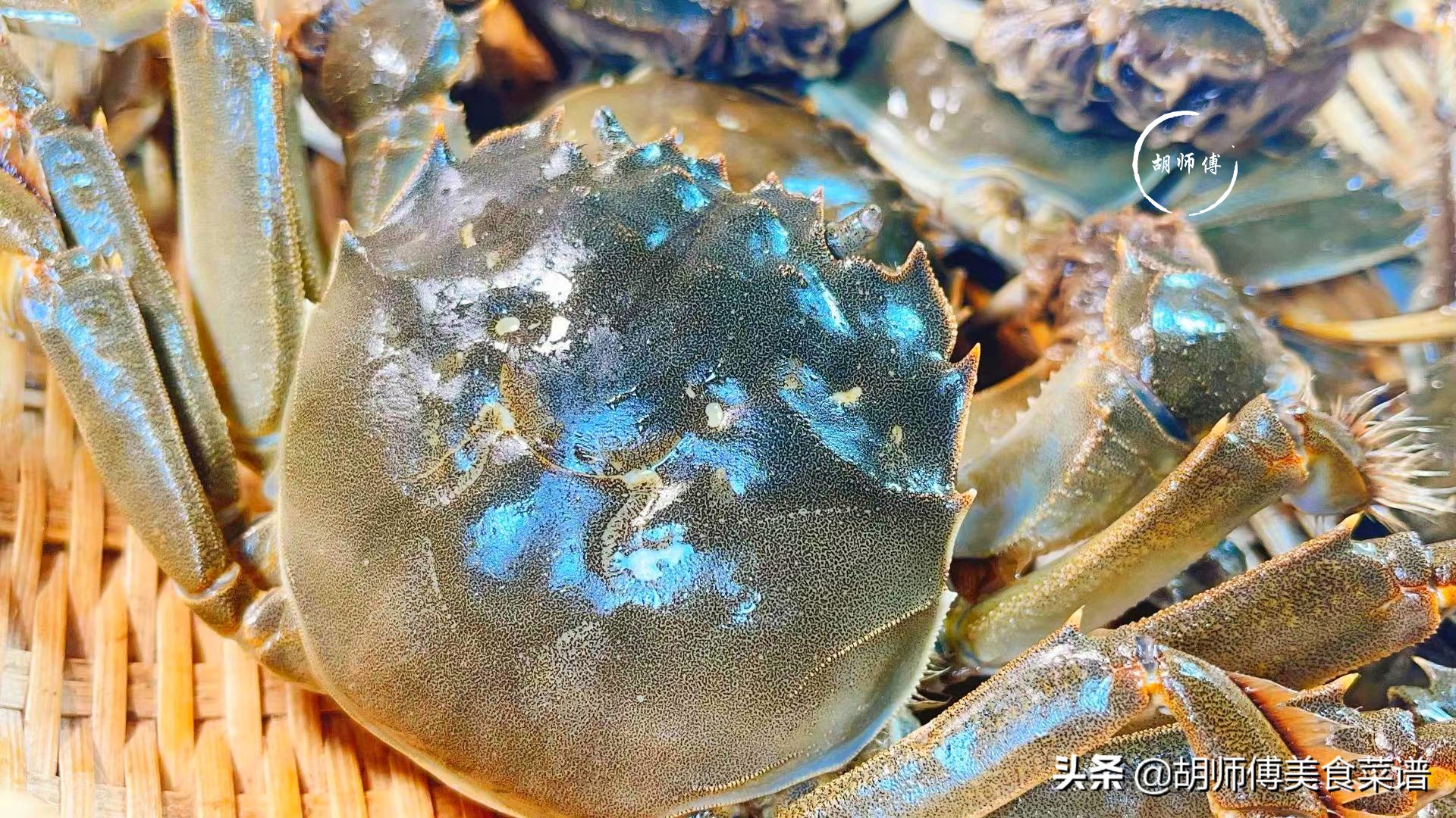 选螃蟹是青壳还是黄壳,螃蟹软壳好还是硬壳好