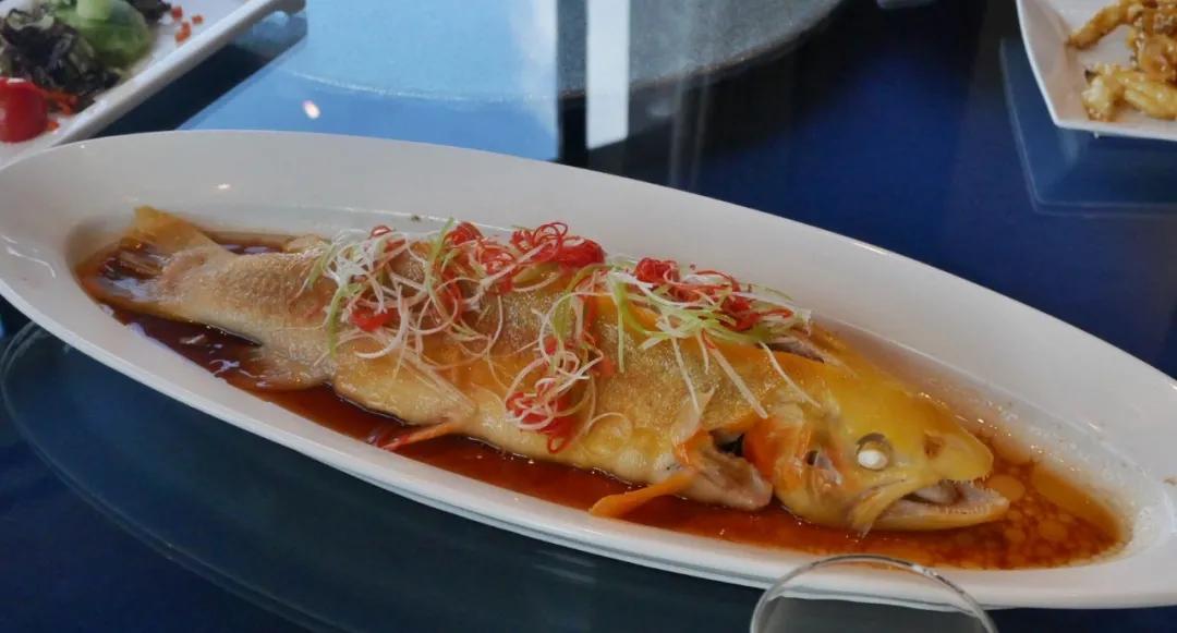 长白山鲁能胜地适合孩子吗,长白山鲁能胜地