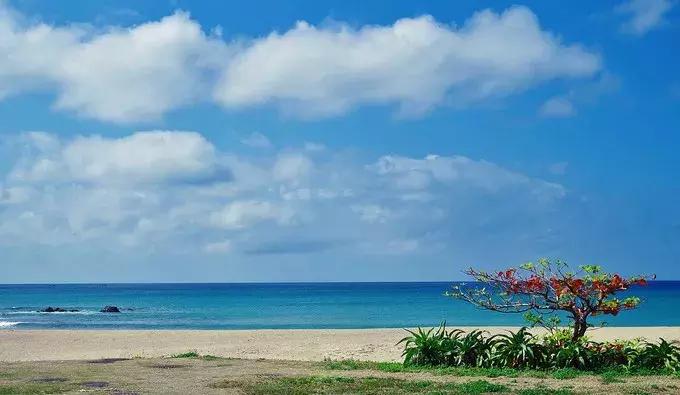 海南飞广州多少钱,春节三亚飞成都多少钱价位合适