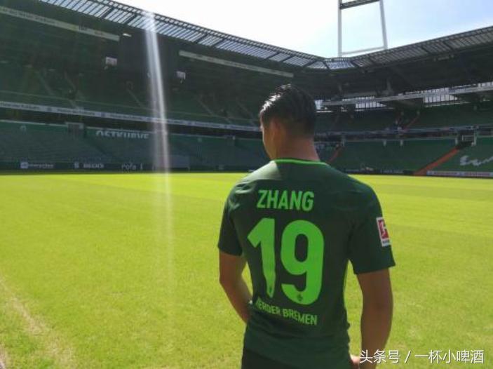 德甲球场一览表最新,德甲联赛球场