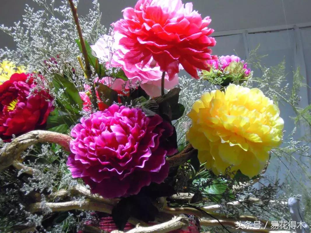 牡丹盆栽品种挑选,巴茨拉牡丹品种介绍