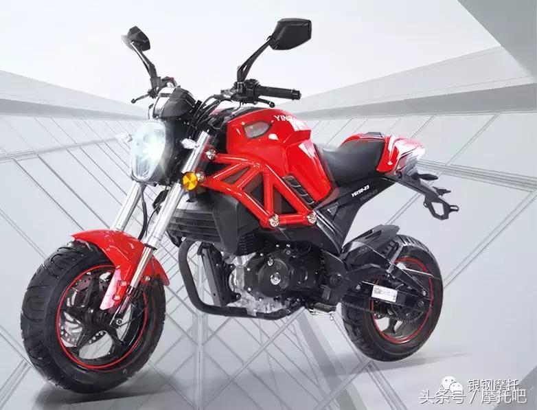 买个小怪兽啥意思,买小怪兽要注意什么