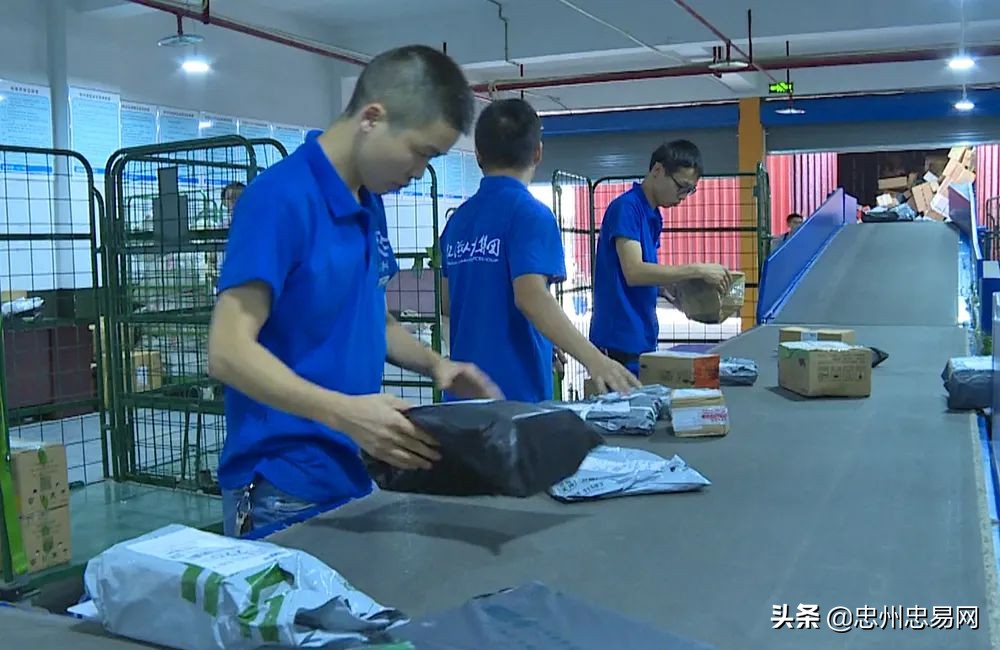 忠县2024年全年gdp,忠县第一季度gdp