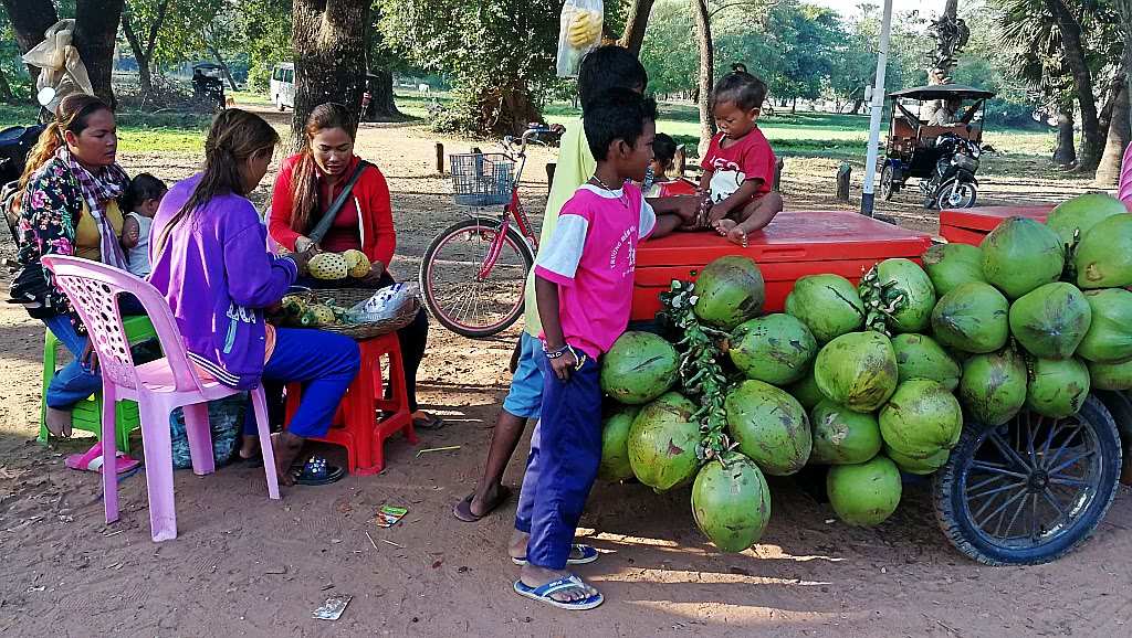 柬埔寨都有啥水果和特产,柬埔寨那些奇葩水果
