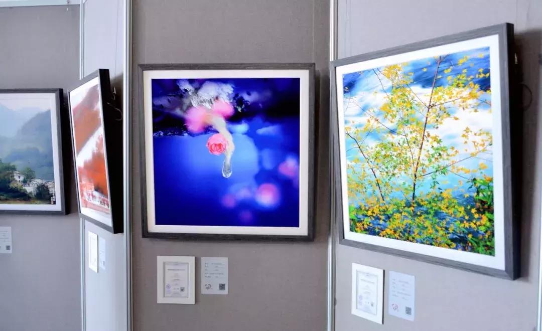 早春三月,金鹰湖畔,“爱的奉献”,与你相约......