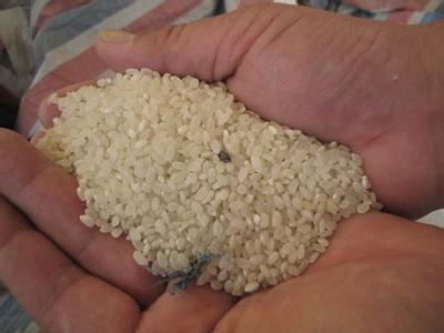 好大米和坏大米营养价值一样吗,好大米五常大米