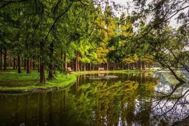 大局已定创业路何去何从,杨浦区的发展趋势