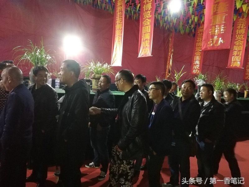 2020年云南兰花展获奖图片,2018年昆明兰花展精品图片