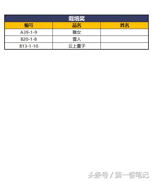 2020年云南兰花展获奖图片,2018年昆明兰花展精品图片