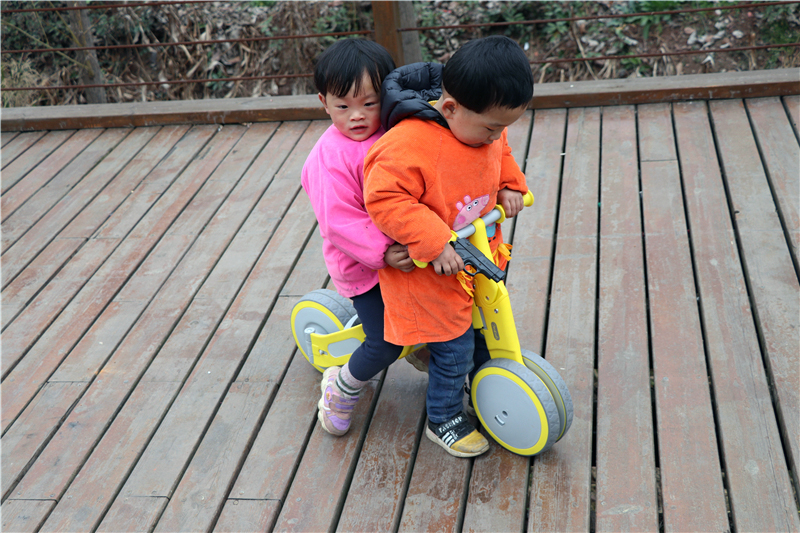 小米众筹299元的手机,小米众筹49元套餐