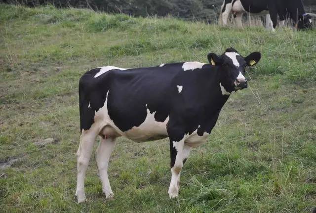 日本农业的特点和原因,日本的农业基础知识