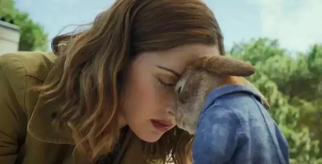 看完比得兔我们能感受到什么变化,看比得兔你学到了什么